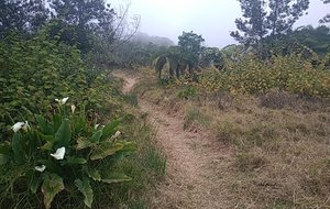 La RF des hauts de mont vert est proche