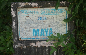 Chemin Maya
by Maxveric